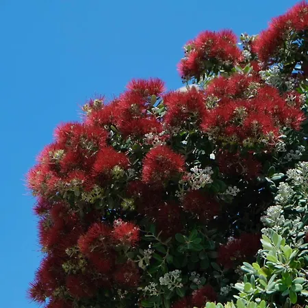 Colori Del Salento Torre Pali